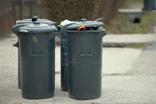 Household skip being delivered to a Crystal Palace home