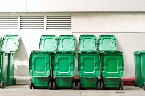 Mini and midi skips displayed for home and commercial use
