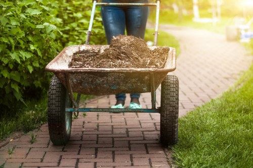 Authorized skip placement complying with Crystal Palace regulations